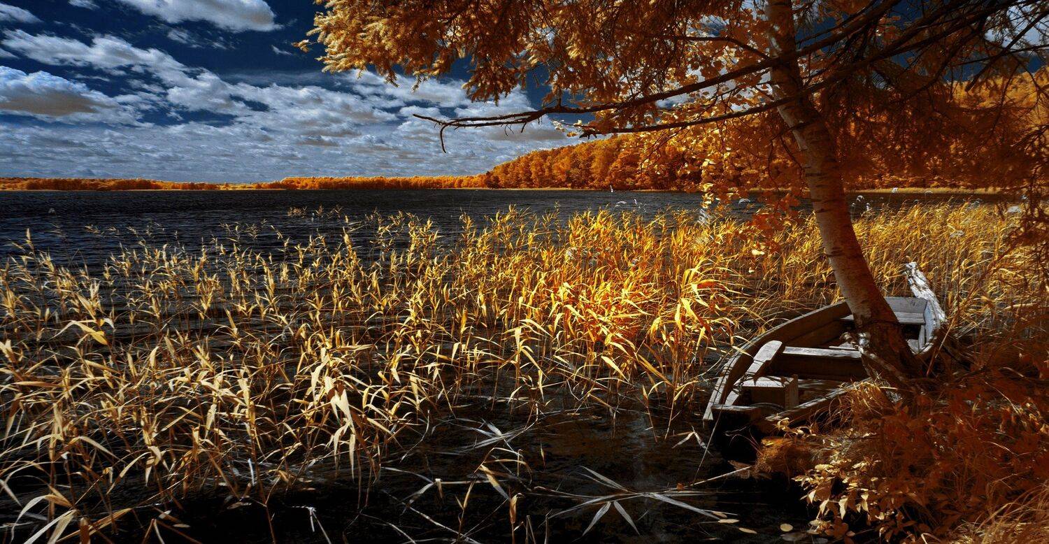 infrared,ик-фото,инфракрасное фото,инфракрасная фотография,пейзаж,природа,беларусь,лето, Sixten ( Сергей )