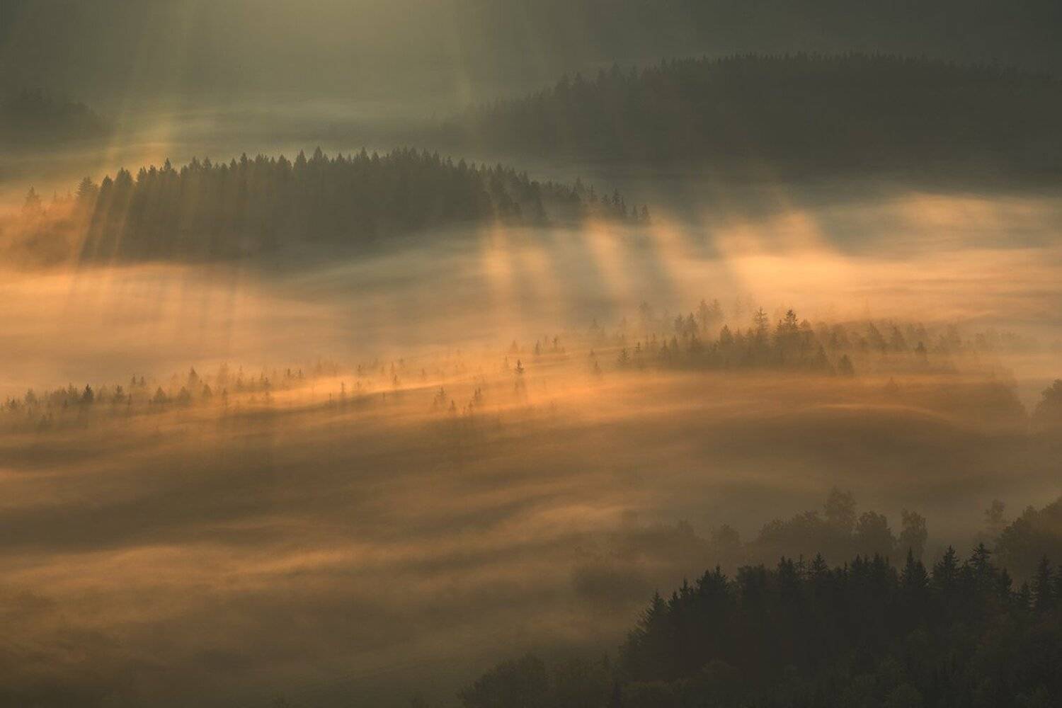landscape,canon,mist,light,autumn, Iza,Darek