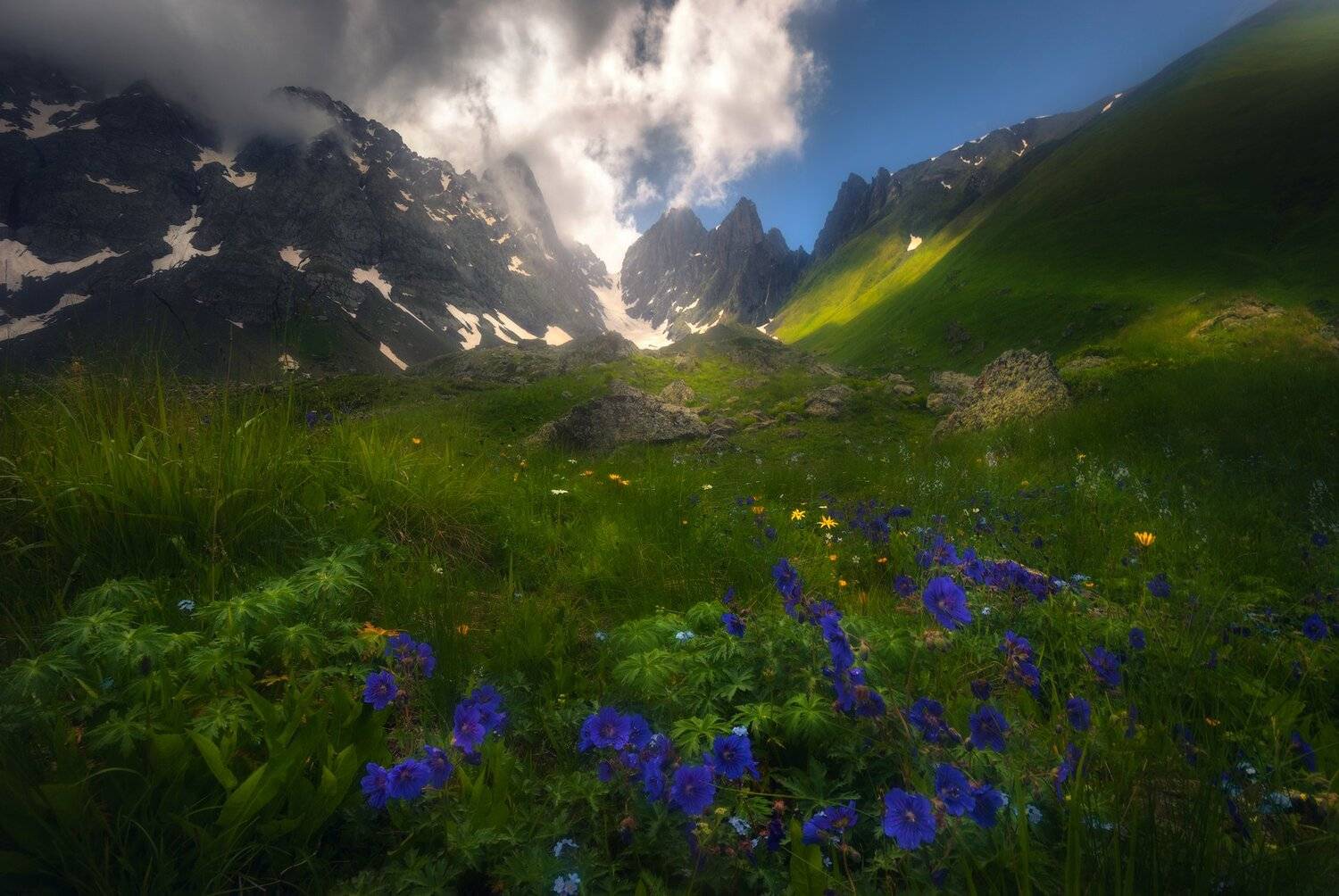 , sozel