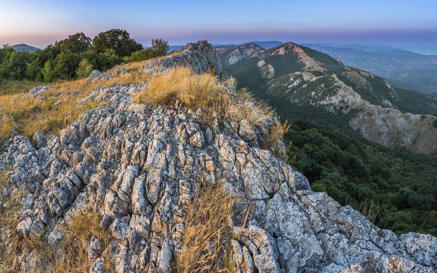 , Станислав Савицкий