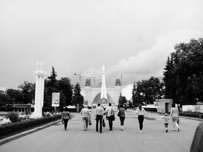 Лиса парк вднх