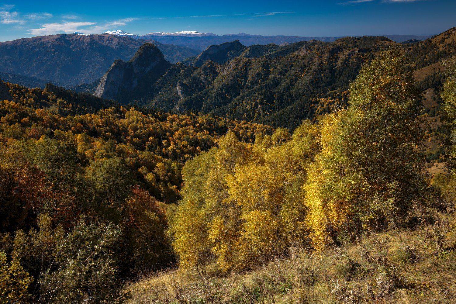 , Дмитрий Монастырский