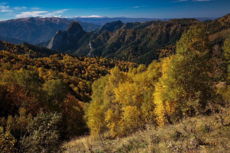 Золото Адыгеи фото превью
