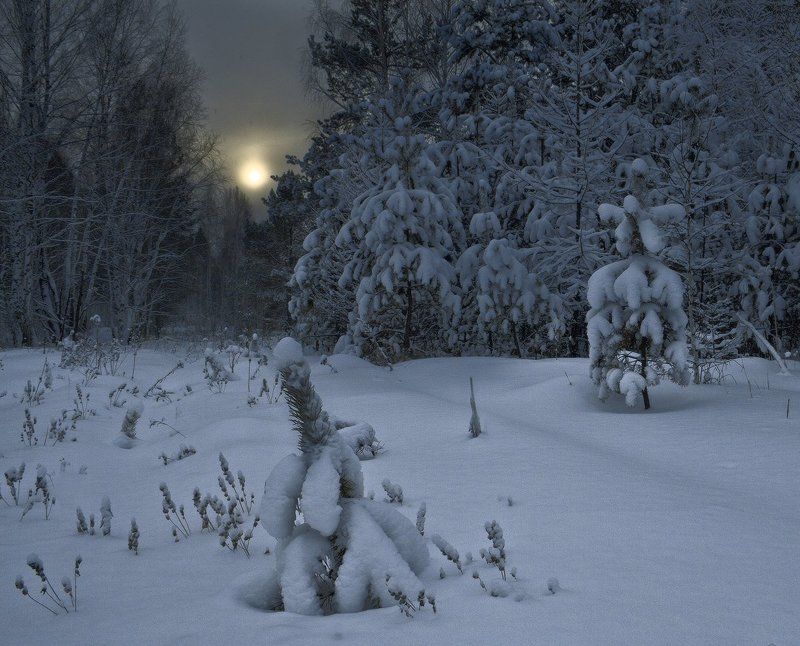 Синие сумерки фото превью