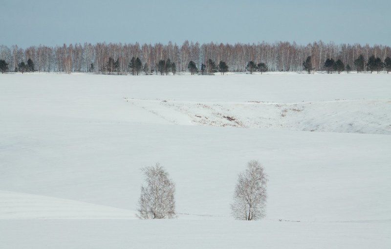 **** фото превью