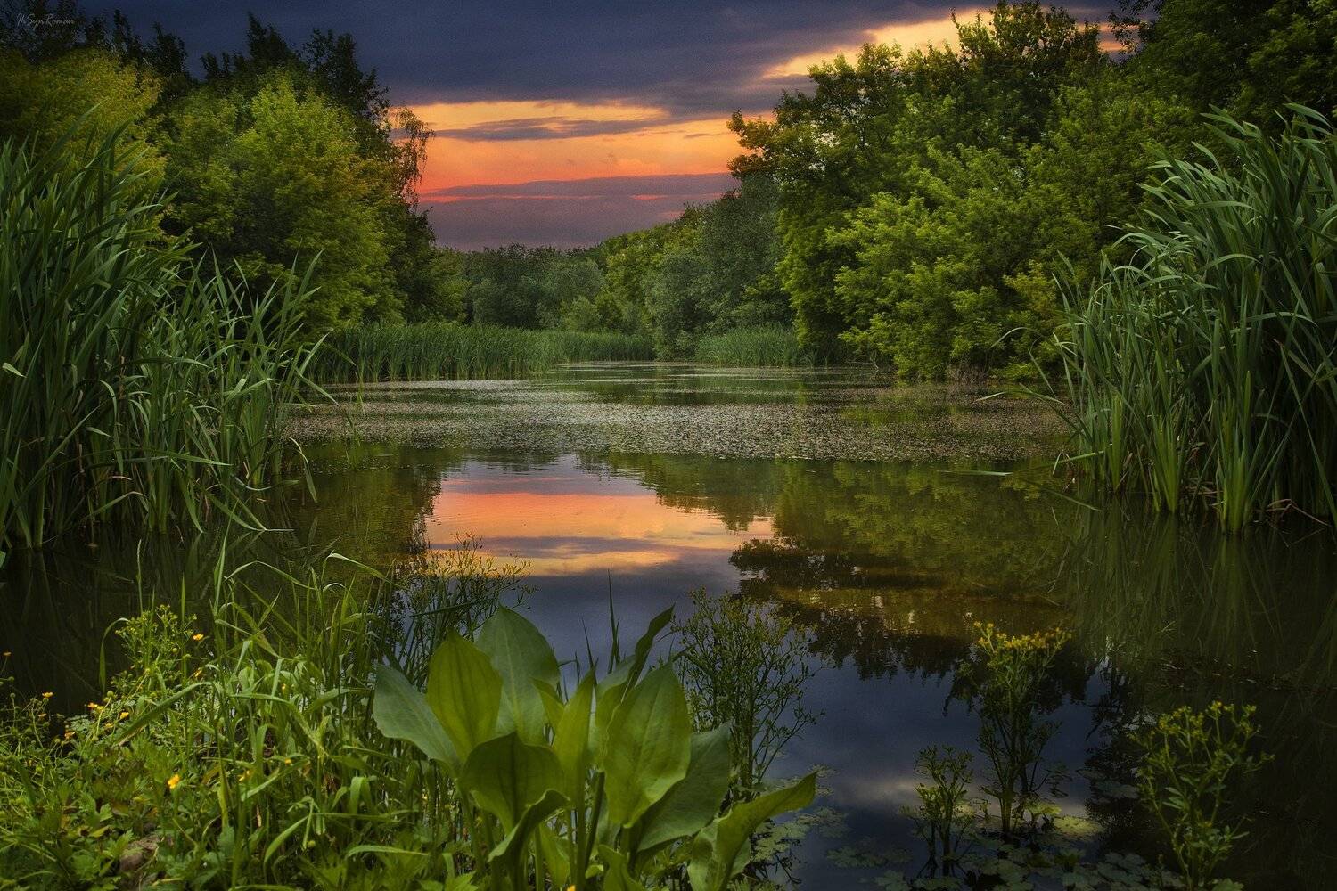 лето, август, закат, ставок, Roma  Chitinskiy