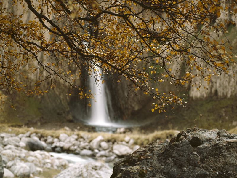 пейзаж фото превью