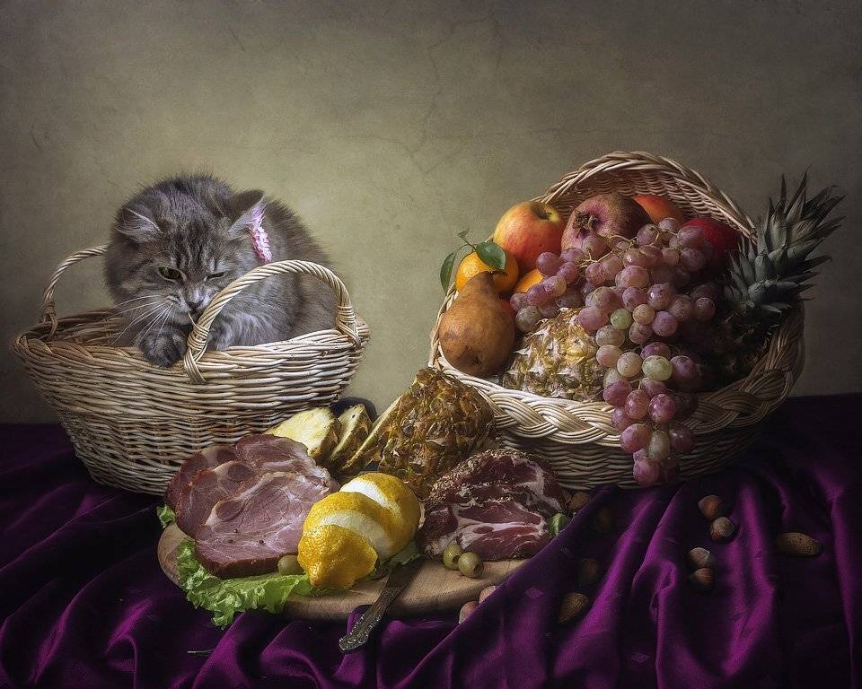 натюрморт, фрукты, гастрономия, художественное фото, домашние животные, кошки, корзины, Ирина Приходько