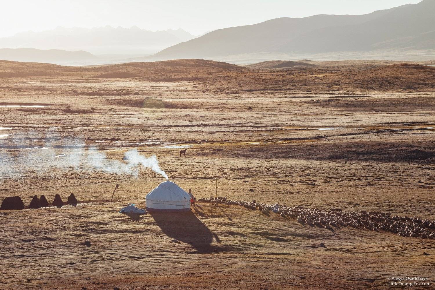 пейзаж, плато, рассвет, кыргызстан, юрта, степь, горы, тянь-шань, Осадчая Алеся