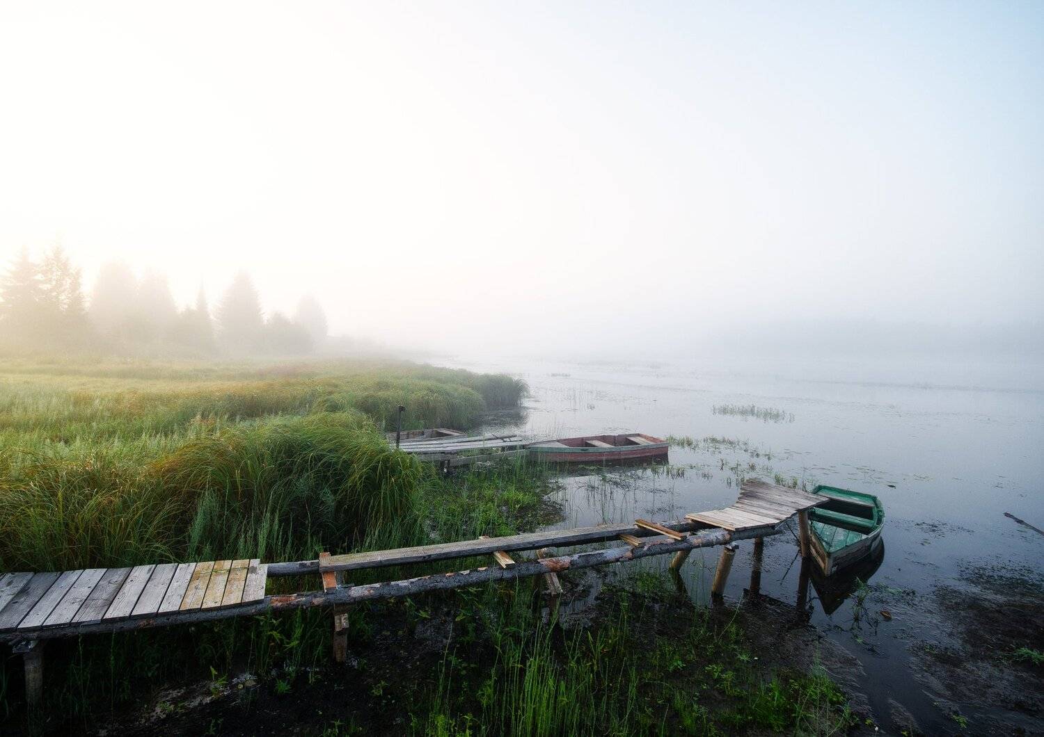 туман,утро,природа,.небо, Карепанов Евгений