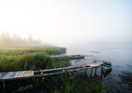 Любые плюсы, недостатки  Своим укроет он плащом...