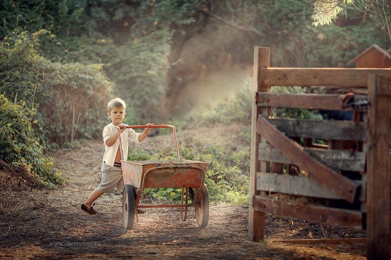 фото превью