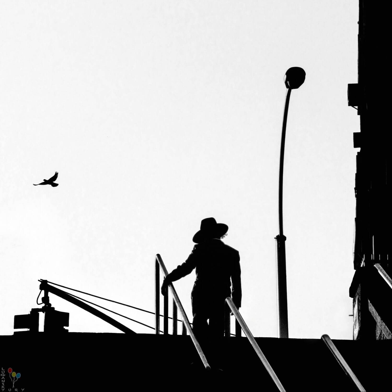 Silhouette, Силуэт, Yury Lugansky