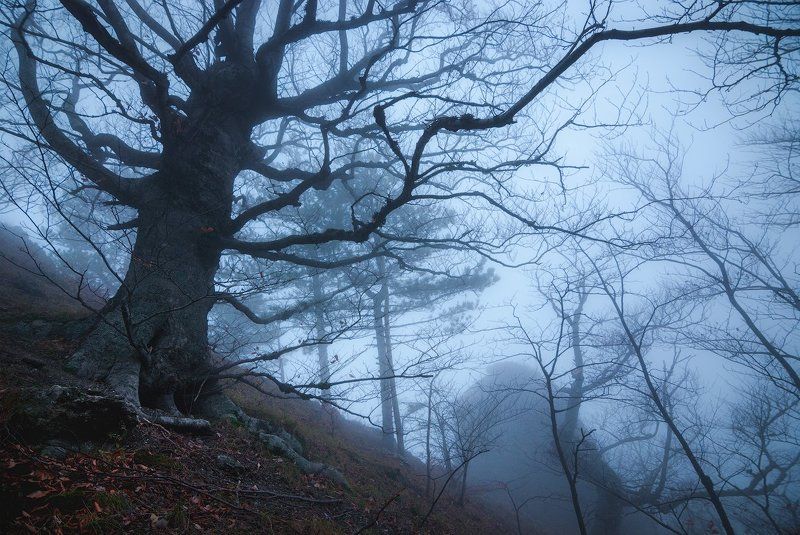 крым, демерджи Склоны Демерджи фото превью