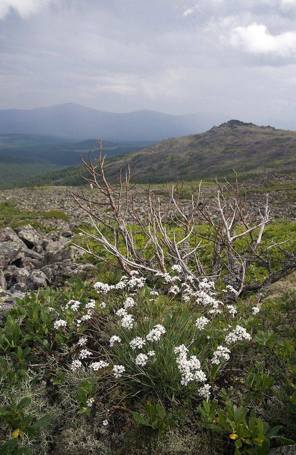 урал, горы, Владимир Письмак