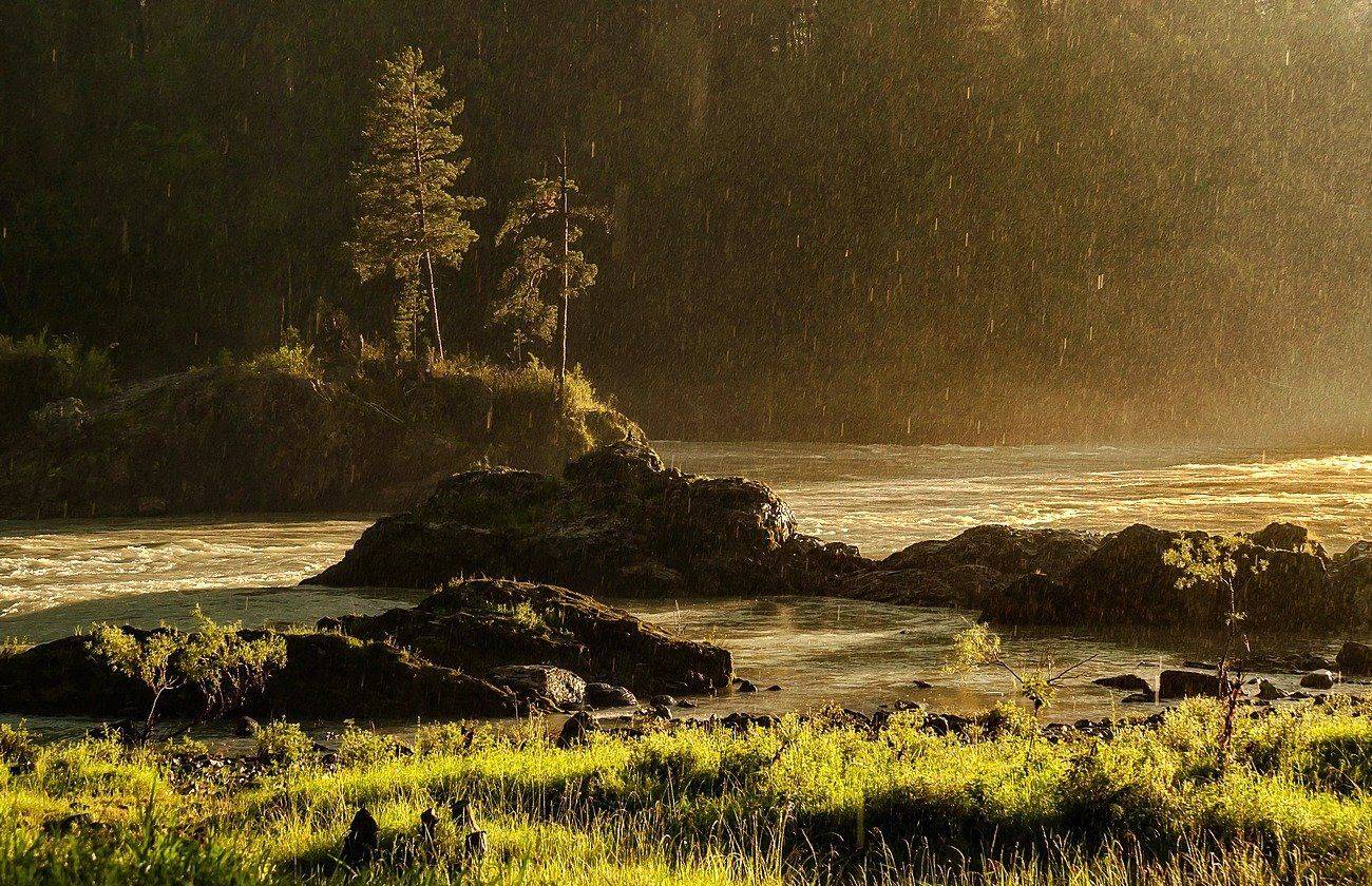 , Марина Фомина