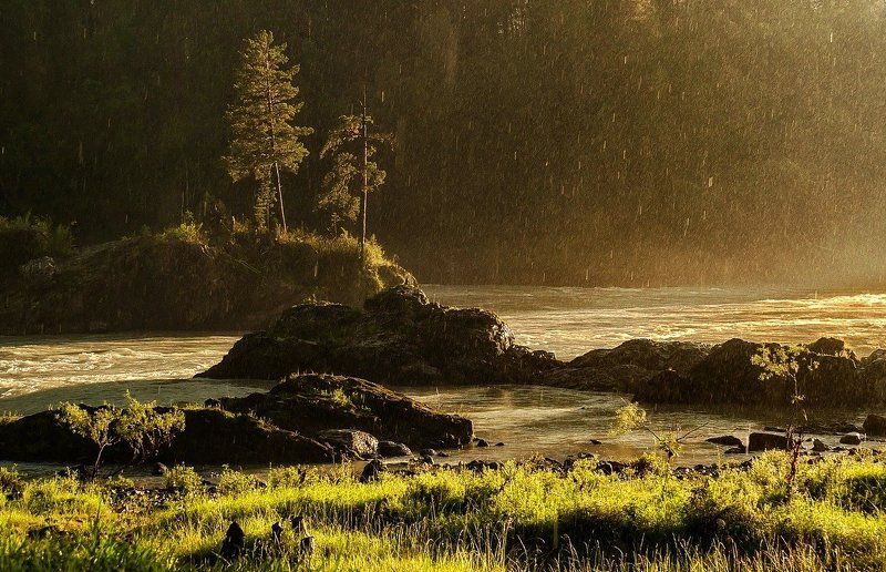 Летний дождь. фото превью