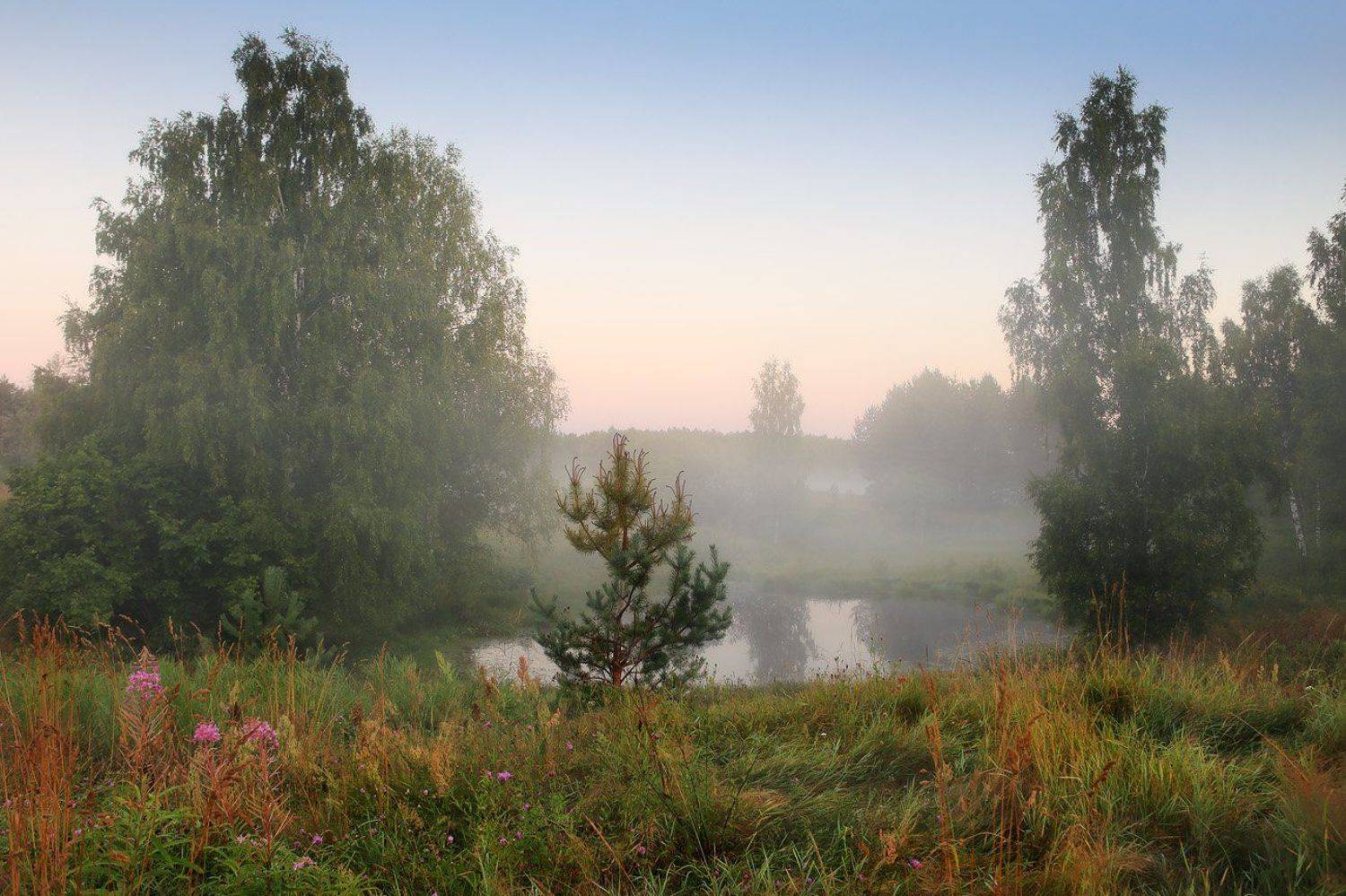 комары урочище утро туман, Дмитрий Алексеев