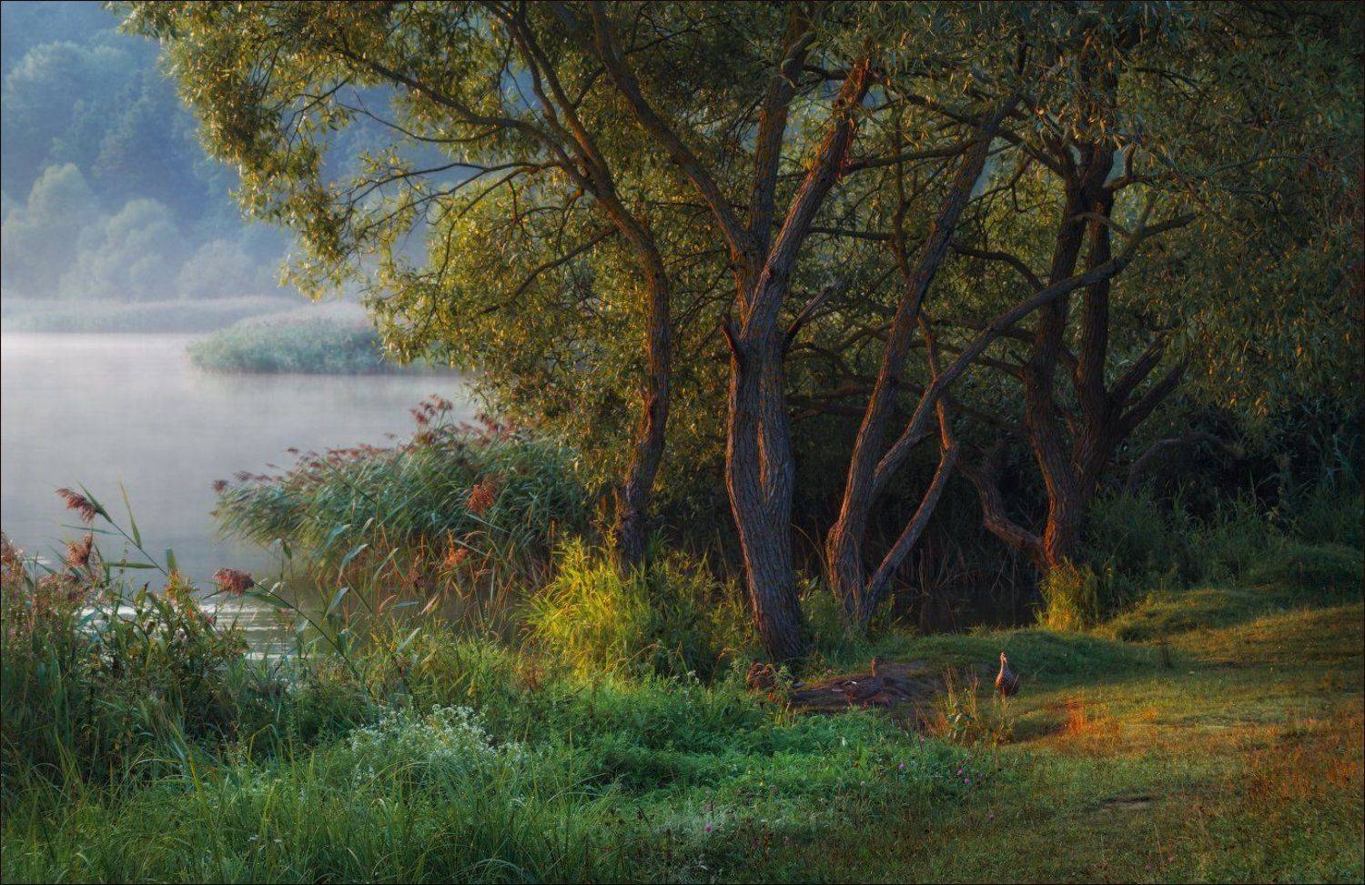 рассвет, озеро,, Сергей Шабуневич