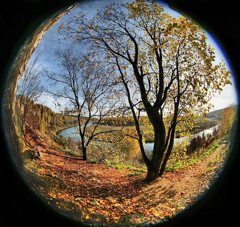 Вот такая ОСЕНЬ получилась на ПЕЛЕНГ-8 фото превью