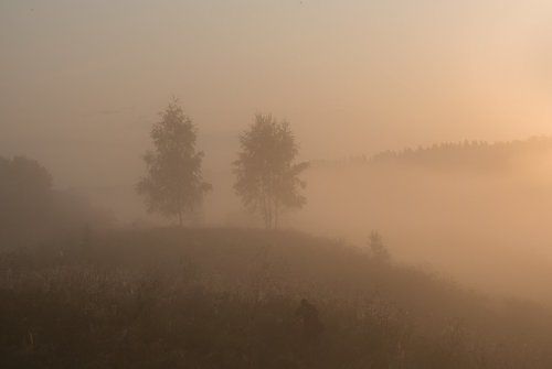 Укутаны туманом