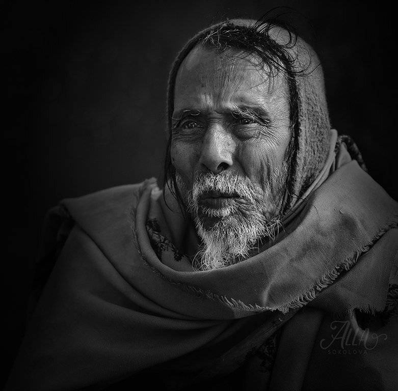 старик, дед, бедуин, платок, седина, борода, морщины, вгляд, ALLA SOKOLOVA
