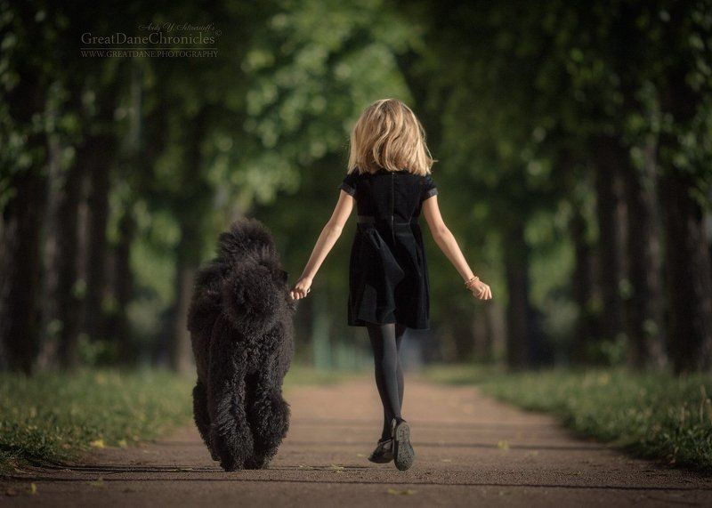 Early in the morning on a walk фото превью