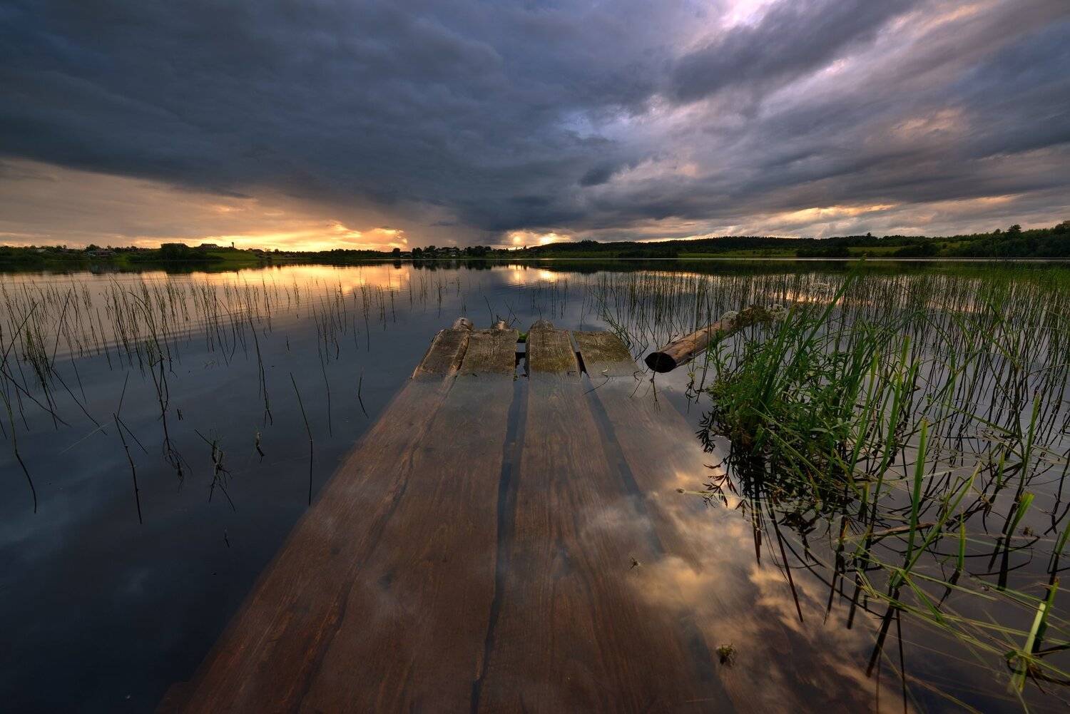 , Максим Евдокимов (www.wildphotorus.ru)