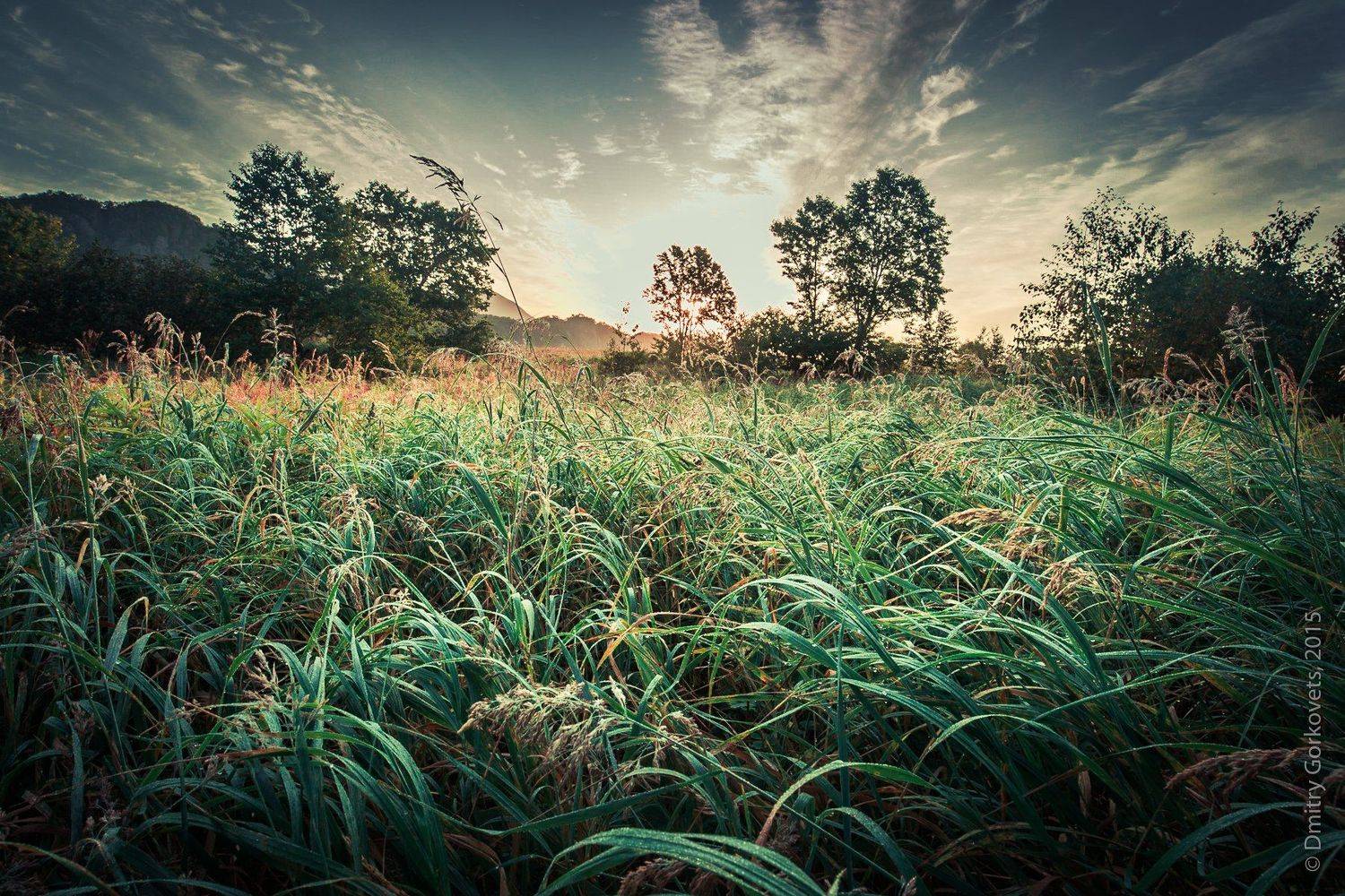 камчатка рассвет тихий океан pacific ocean sunrise landscapes photobydmitrygorkovets жировая речка river, Горковец Дмитрий