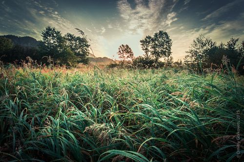 Рассвет на речке Жировая. 