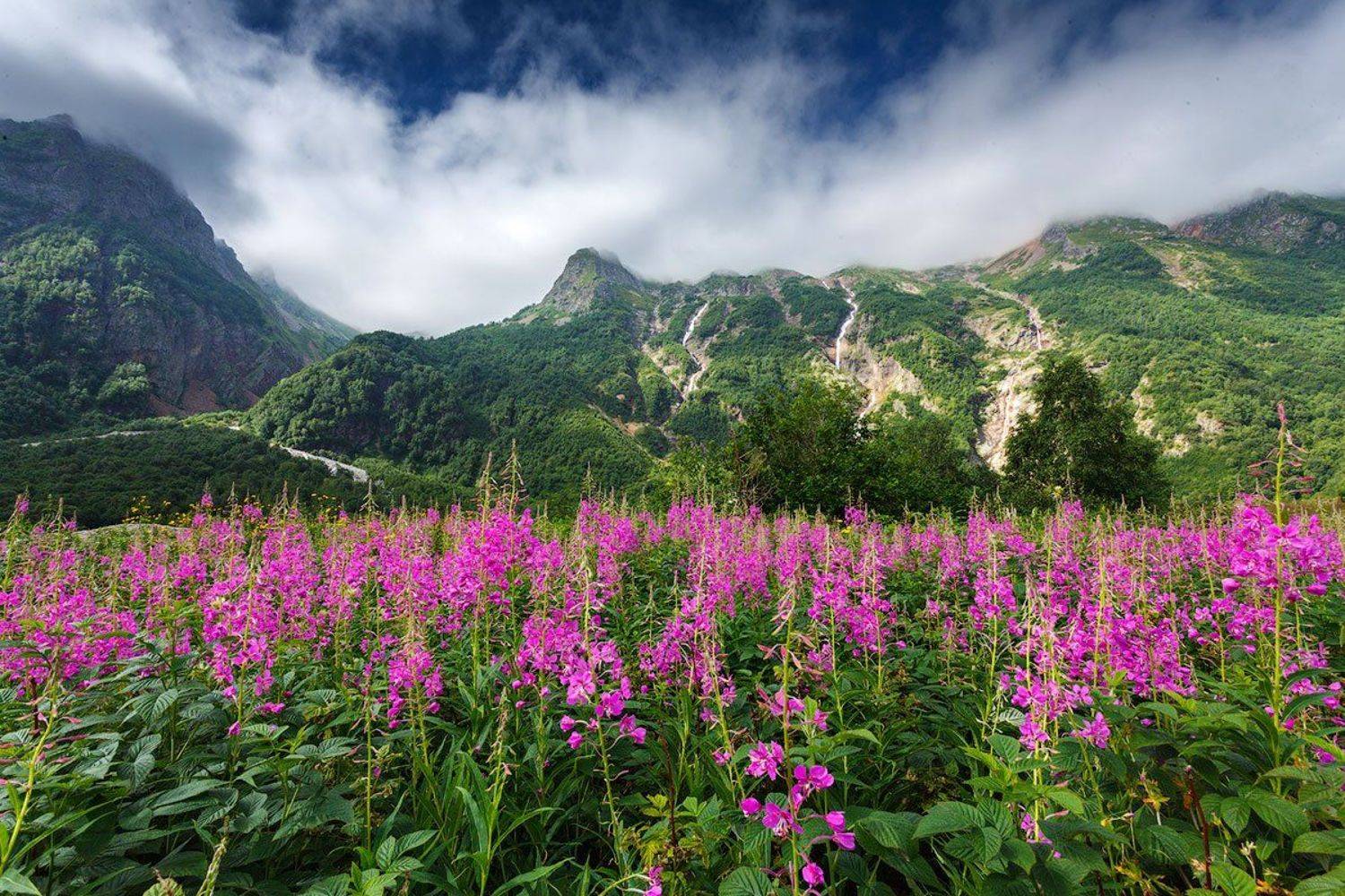 , Владимир Сковородников