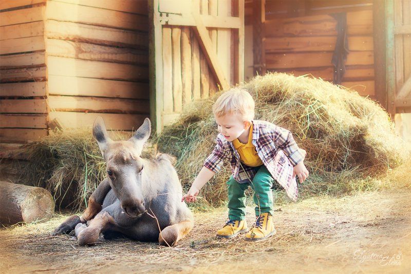 детский фотограф, семейный фотограф, ферма, деревня, village, farm, children photo Малыши фото превью