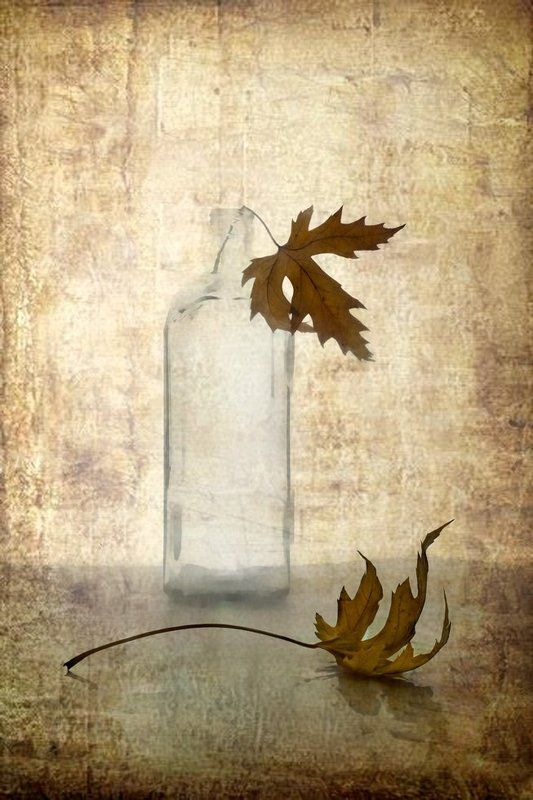 Скоро осень.... фото превью