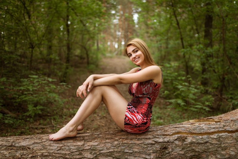 Forest rhapsody фото превью
