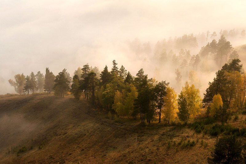 Золотой рассвет. фото превью