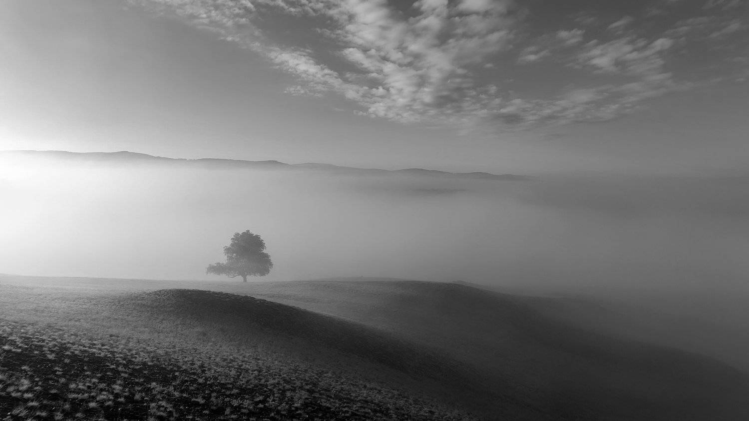 утро, рассвет, туман, Леонид Максименко