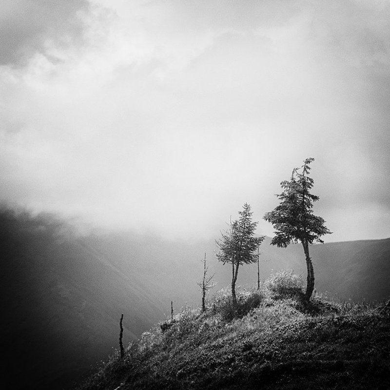 ... фото превью