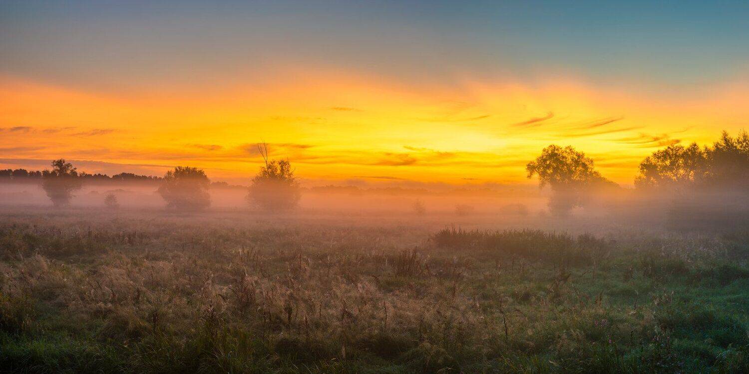 , Mariuszbrcz
