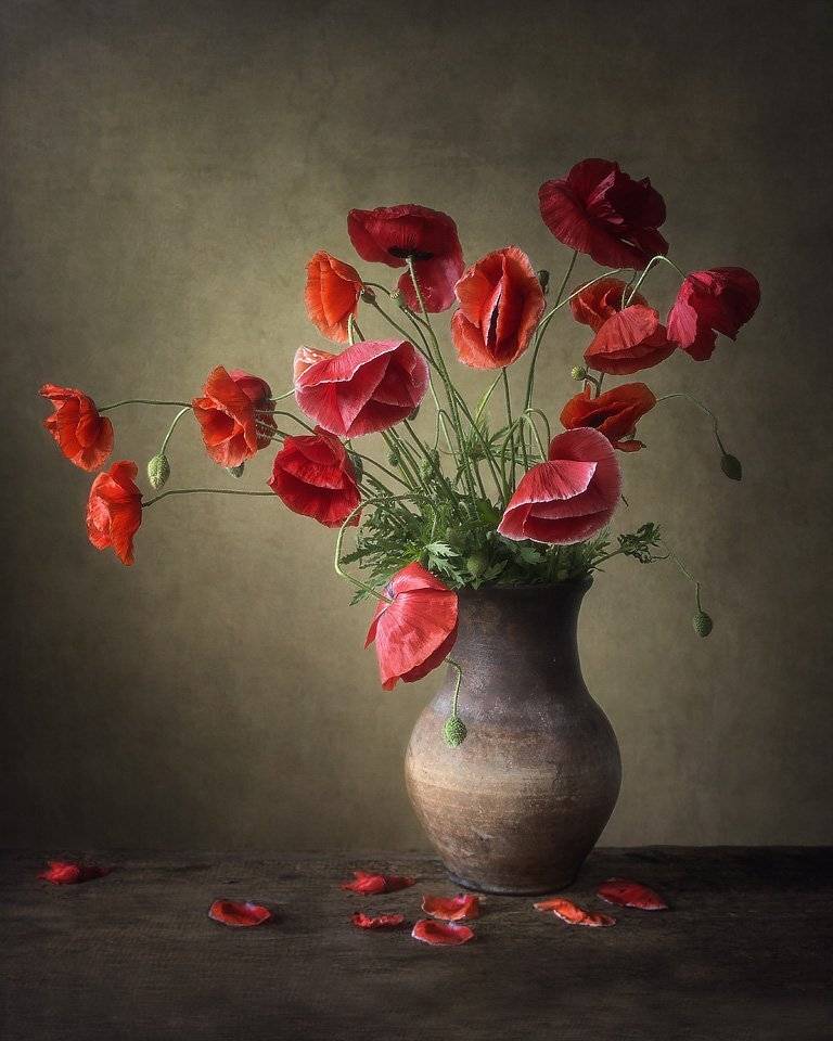 натюрморт, художественное фото, лето, букет цветов, красные маки, Ирина Приходько