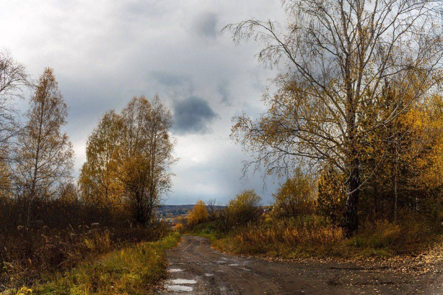 осень, Курочкина Диана