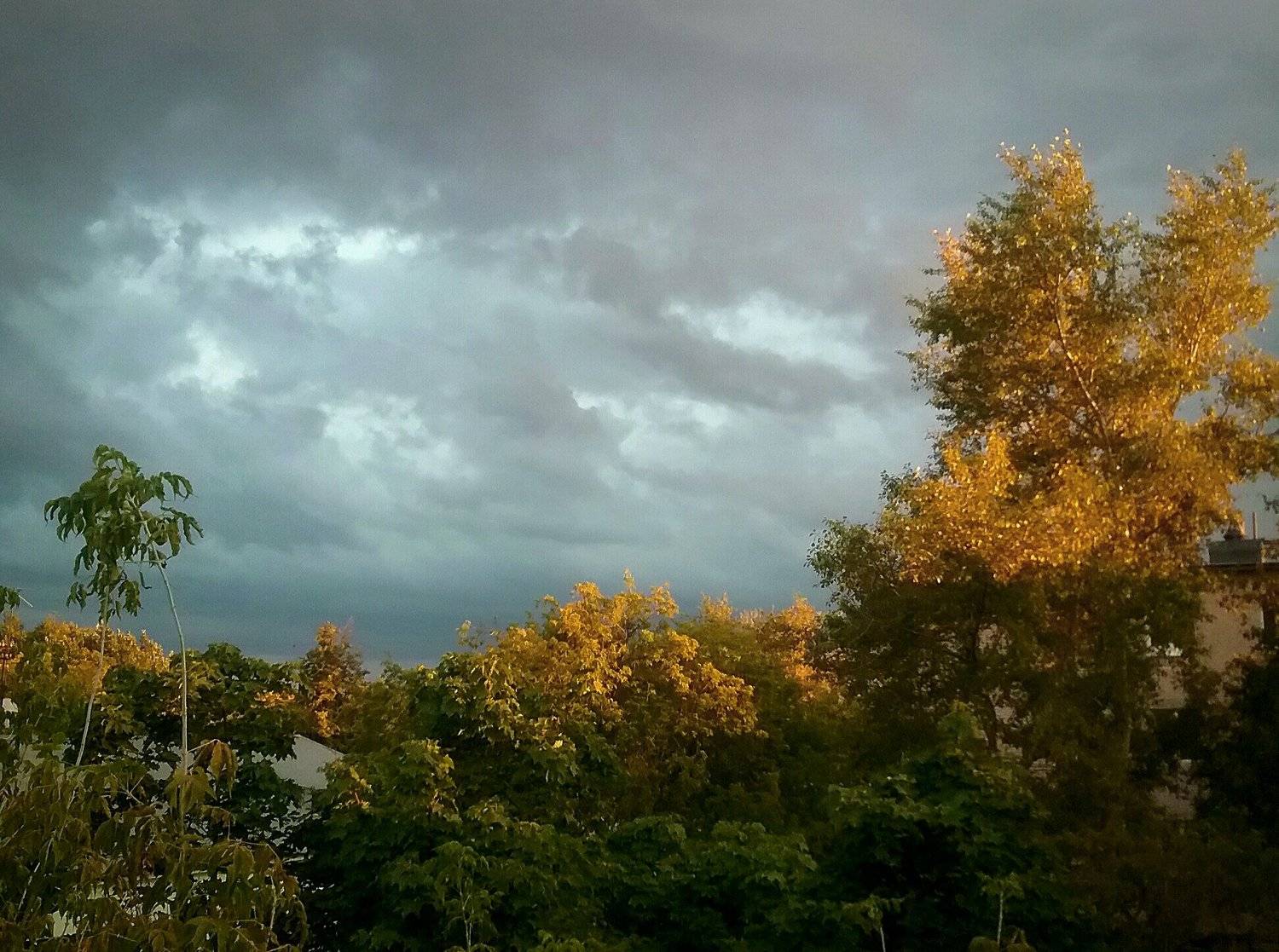 , Юрий Клюшкин