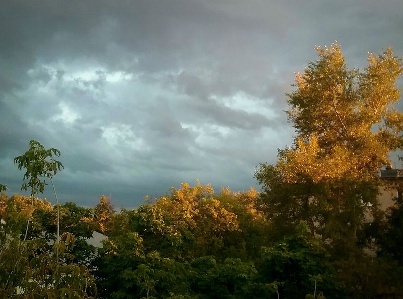 Из балкона вечер виден фото превью