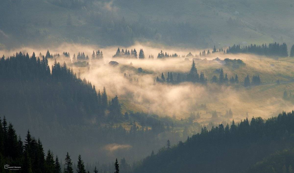 рассвет., , туман., , карпаты., , горы, Леонид Морозов