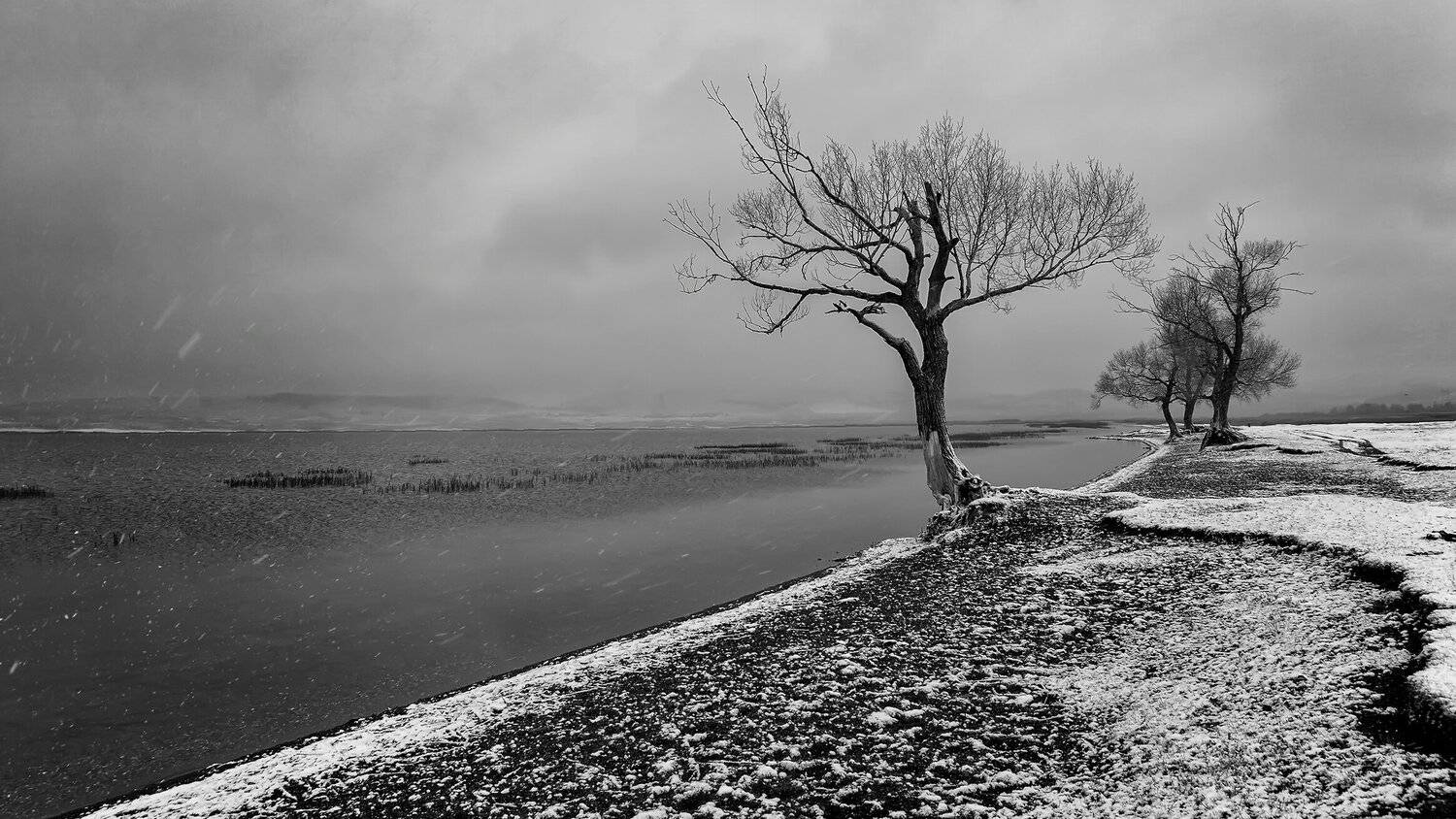 , Леонид Максименко