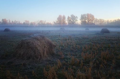 осенью веет