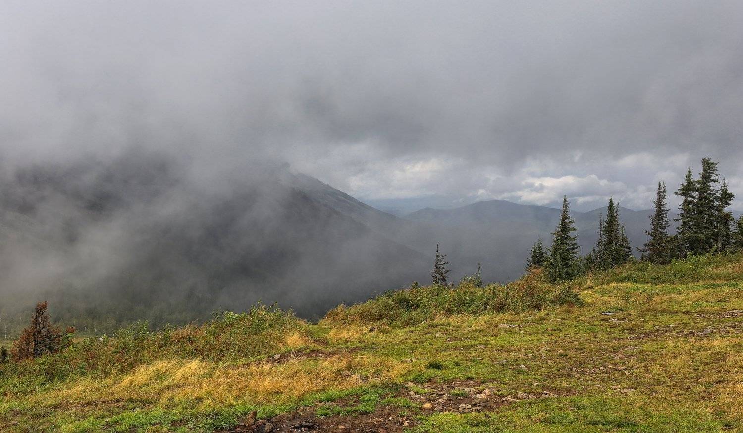 , Галина Хвостенко