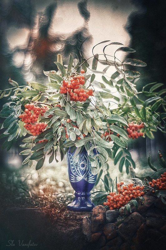 Рябинка.... фото превью