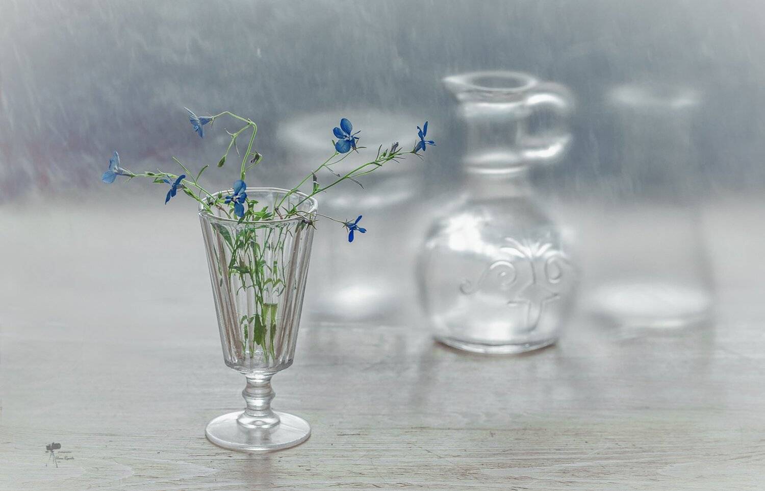 , Инна Сухова