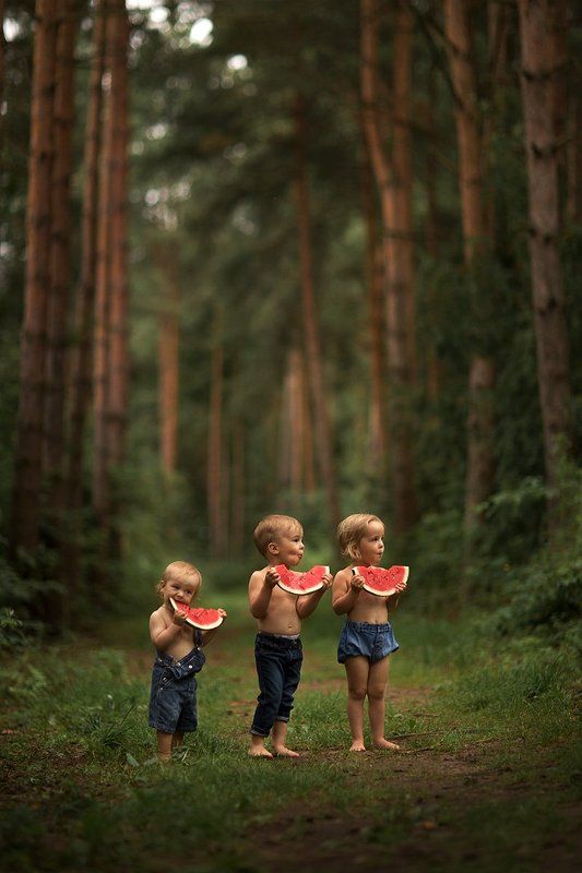 Арбузная банда фото превью