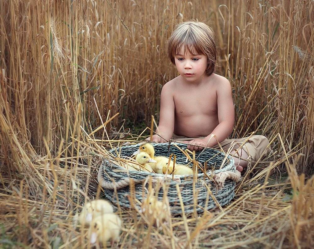 , Диана Аникеева